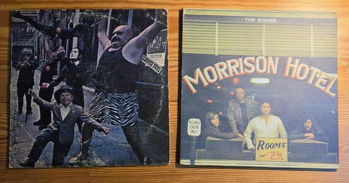 The doors lot vinyl - 2,